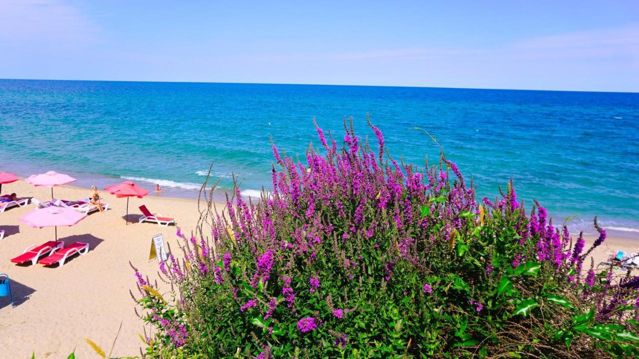 Бяла Виста Бийч Апартментс Д - Byala Vista Beach Apartments D Екстериор снимка